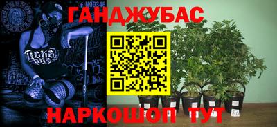 Альфа ПВП Рыбинск