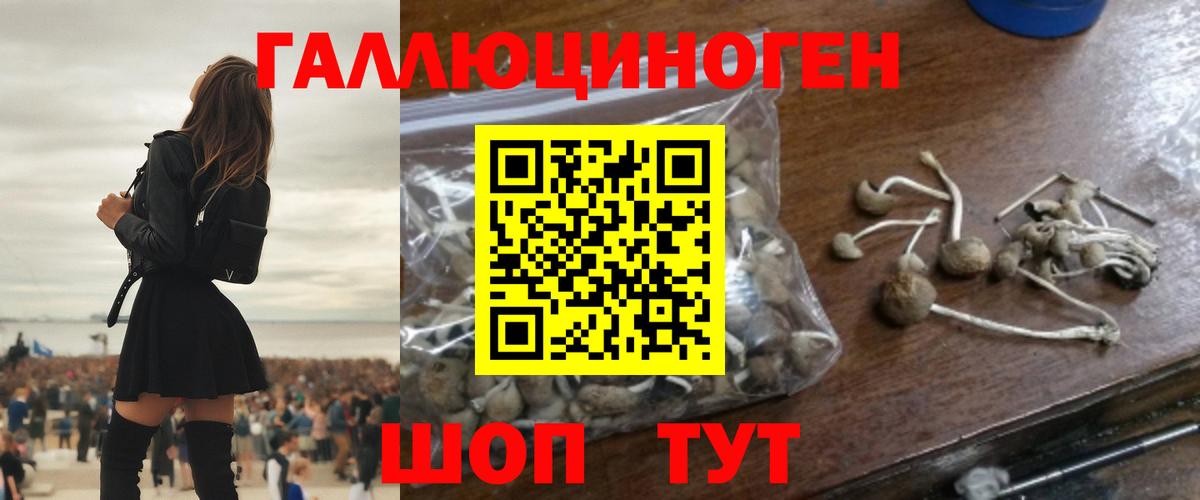 Галлюциногенные грибы прущие грибы Алатырь